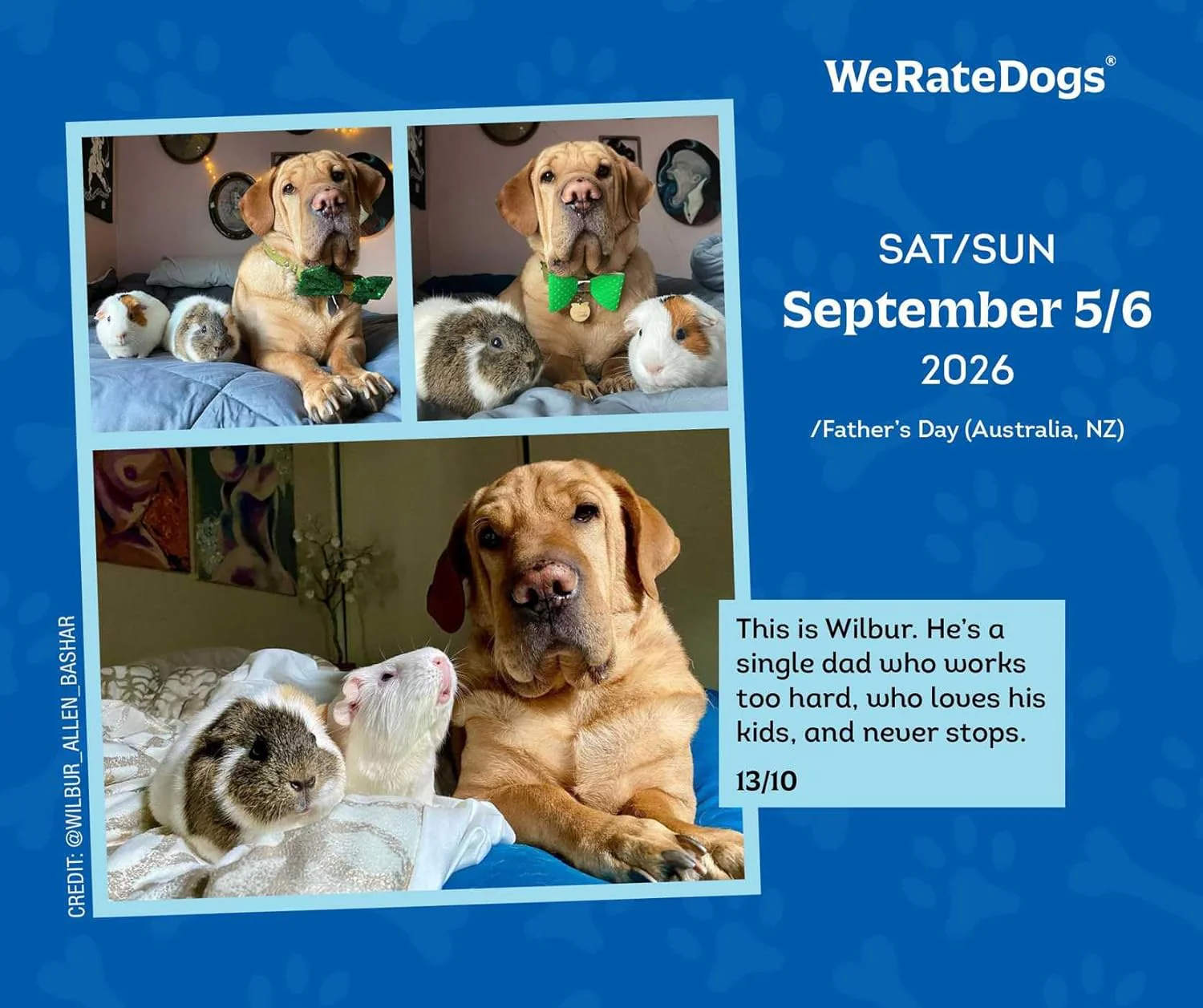 2026 WeRateDogs Day-to-Day Calendar - Image 4