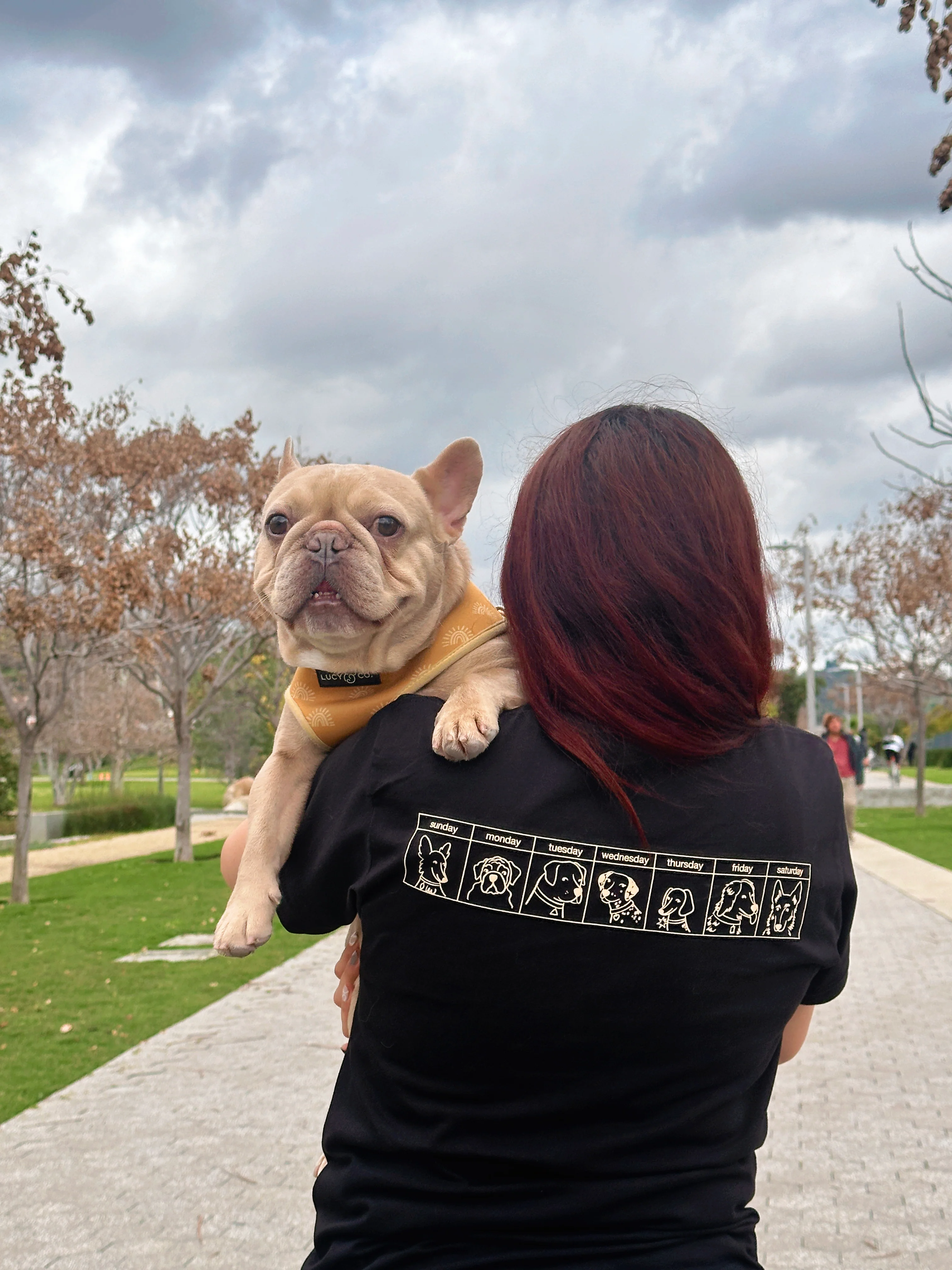 The Dogs Were Good Again Tee - Black - Image 5